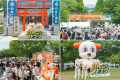 FLAFFY主催「ジャパンわんこフェスタ2026 秋 in お台 FLAFFY主催「ジャパンわんこフェスタ2026 秋 in お台