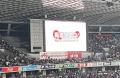 夏の梅毒集中啓発を実施します！