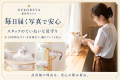 猫専門ホテル『ねこべや』、Googleクチコミ 累計987件