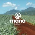 ハワイの心地よさを、毎日の暮らしへ。ライフスタイル ハワイの心地よさを、毎日の暮らしへ。ライフスタイル