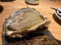 【鎌倉・大船】仲卸直営の海鮮居酒屋「魚貝 とろぼっ