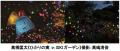 六甲高山植物園 市街地より一足早い秋の訪れ 紅葉見頃