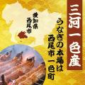 *うなぎ生産量全国トップクラス！*愛知県西尾市の*全1
