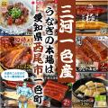 *うなぎ生産量全国トップクラス！*愛知県西尾市の*全1