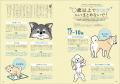シニア犬の飼い主さん必読！  愛犬に最適な“ベストケ