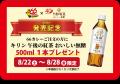 石川のソウルフード「チャンピオンカレー」、能登豚プ