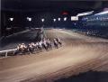日本初のナイター競馬「トゥインクルレース」は皆様の
