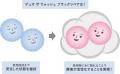 「DUO(デュオ) ザ ウォッシュ ブラックリペア」を 「DUO(デュオ) ザ ウォッシュ ブラックリペア」を