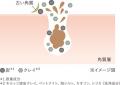 「DUO(デュオ) ザ ウォッシュ ブラックリペア」を 「DUO(デュオ) ザ ウォッシュ ブラックリペア」を