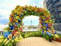 “お花”にまつわるお名前の方は入園無料!8月7日は「花 “お花”にまつわるお名前の方は入園無料!8月7日は「花