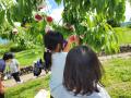 【山梨県笛吹川フルーツ公園】富士山を眺めながら水遊