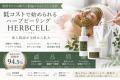 美容サロン向けハーブピーリング「HERBCELL」、この夏