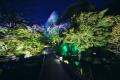 鎌倉 長谷寺 「NIGHT TABLE 2026」開催