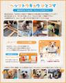ペットと暮らす毎日をもっと楽しく!「ペッツトウキョ ペットと暮らす毎日をもっと楽しく!「ペッツトウキョ