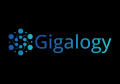 Gigalogy、情報漏洩リスクとトークン課金をゼロにする