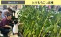 【涼しい地下街で遊び尽くそう】猛暑知らずの避暑地・
