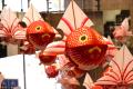 中国地方初! 2026年8月13日(木)開催「柳井金魚ちょ 中国地方初! 2026年8月13日(木)開催「柳井金魚ちょ