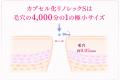 シミのもと*¹ にアプローチ、硬い角層をほぐし浸透「