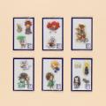 『幽冥の岸　十二国記』刊行記念　山田章博原画展、丸