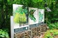 【置賜・小国町】山形県内唯一の森林セラピー(R)基地