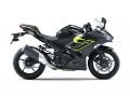 カワサキからライダーのニーズをパッケージしたスポー