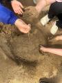 【関西初※】英語で学ぶ小学生～高校生向けラーニング