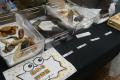 レアな深海魚や危険な魚がいっぱい！魚魚展開催中！【