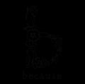 レイングッズメーカー「because（ビコーズ）」、NY最
