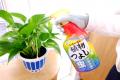 使える植物は300種/510種、ガーデニングの心強utf-8 使える植物は300種/510種、ガーデニングの心強utf-8