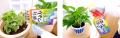 使える植物は300種/510種、ガーデニングの心強utf-8 使える植物は300種/510種、ガーデニングの心強utf-8