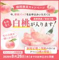 日本郵便と連携する規格外野菜の宅配サービス「ロスヘ