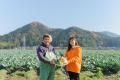 日本郵便と連携する規格外野菜の宅配サービス「ロスヘ