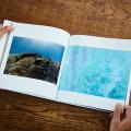 海と人、その境界を見つめ続けた探究の結晶 古見きゅ