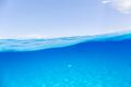 海と人、その境界を見つめ続けた探究の結晶 古見きゅ