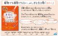 ☆☆夏休みの自由研究に☆☆見つけたきのこの名前を、ぱっ