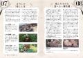 ☆☆夏休みの自由研究に☆☆見つけたきのこの名前を、ぱっ