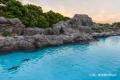【葛西臨海水族園】20時まで開園時間延長の期間限定イ
