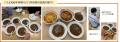 「辛口しかないカレー」LEEを担当する社員4名が徹底検