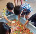 市役所が、夏の涼しいあそび場に！おしりたんていもや