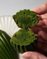 【阪急うめだ本店】抹茶インフルエンサー監修「MAMIDO