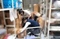 渋谷区立笹塚中学校の「職場体験受入れ実施」。現場の