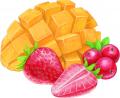 累計販売数100万個突破！ワンハンドで食べる冷凍utf-8