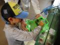 【滝野の森で本気の虫さがし！】「滝野の森 昆虫野外