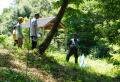夏休みに昆虫博士大集合 「いなぎめぐみの里山」で生 夏休みに昆虫博士大集合 「いなぎめぐみの里山」で生