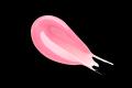 <CipiCipi>恋が叶う!?噂のハートプランパーから早く <CipiCipi>恋が叶う!?噂のハートプランパーから早く