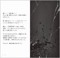 読む<脱出ゲーム>ここに開幕!知念実希人が仕掛ける 読む<脱出ゲーム>ここに開幕!知念実希人が仕掛ける