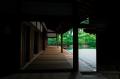 「京都・一休寺の植物をもとにうまれる、想像の『いき 「京都・一休寺の植物をもとにうまれる、想像の『いき
