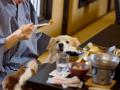 【愛犬と泊まれる古民家リトリート 赤城山 - 懐utf-8 【愛犬と泊まれる古民家リトリート 赤城山 - 懐utf-8