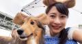 明石海峡大橋を背景に愛犬とランウェイ 神戸・utf-8 明石海峡大橋を背景に愛犬とランウェイ 神戸・utf-8