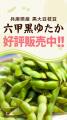 【好評販売中】夏の味覚！豊かなコクと甘みが広がる阪
